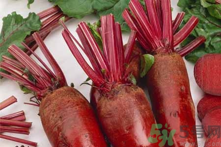 甜菜的营养价值及功效和作用,甜菜的营养价值和食用禁忌