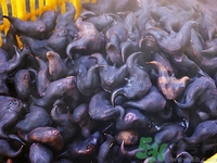 菱角壳煮水喝的副作用,菱角壳煮水的作用和功效 菱角壳煮水喝的副作用,菱角壳煮水的作用和功效