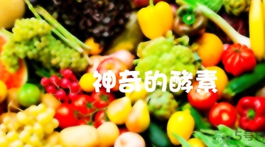 酵素的作用和功效,酵素的作用和功效能减肥吗