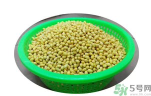 新鲜黄豆怎么保存至冬天吃,新鲜黄豆怎么保存到冬天