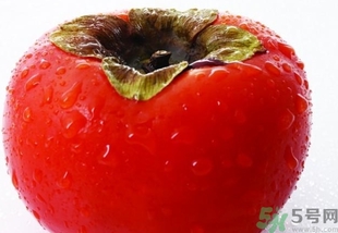 吃柿子多久后能吃螃蟹吗,吃柿子多久后能吃螃蟹1001无标题