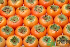 脆柿子和软柿子的区别是什么,脆柿子和软柿子的区别