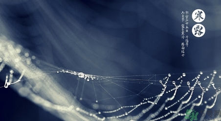 明天寒露吃什么好,寒露吃什么好