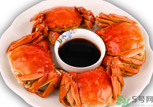 10月份吃公蟹还是母蟹好,十月份吃公蟹还是母蟹