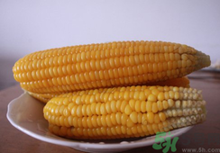 玉米的营养价值和功效,玉米的好处有哪些 玉米的营养价值和功效,玉米的好处有哪些