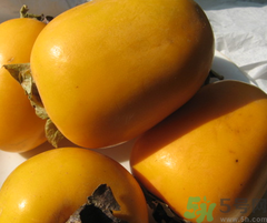 脆柿能放冰箱冷藏保存吗,脆柿子可以放冰箱吗?