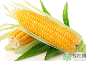 新鲜玉米如何保存最新鲜,新鲜玉米怎么保存