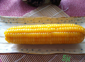 糯玉米和普通玉米的区别,糯米和玉米有什么区别