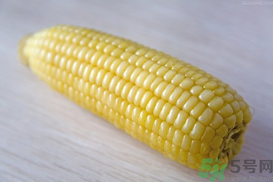 关于甜玉米的手抄报,关于甜玉米的资料 关于甜玉米的手抄报,关于甜玉米的资料