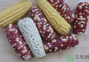 关于彩色玉米的搞笑文案四川话,关于彩色玉米的相关信息