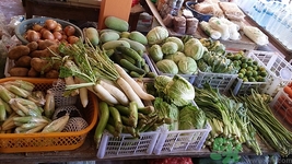 白萝卜切开里面发蓝是怎么回事能吃吗,白萝卜切开变蓝能吃吗 白萝卜切开里面发蓝是怎么回事能吃吗,白萝卜切开变蓝能吃吗