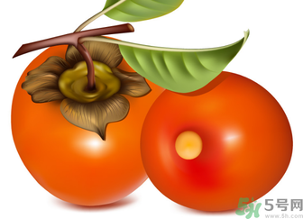 新鲜柿子怎样保存,柿子的保存方法有几种