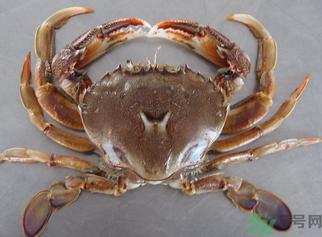 大枣和螃蟹能一起吃吗?,螃蟹跟大枣能一起吃吗