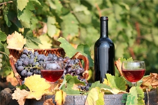 怎样做葡萄酒 要正确的做法,葡萄酒怎么做? 怎样做葡萄酒 要正确的做法,葡萄酒怎么做?