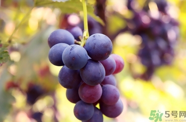 发酵过程中为什么会产生泡沫 发酵过程中为什么会产生泡沫