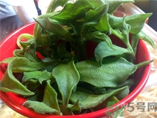 冰菜的营养价值及功效,冰菜的营养及功效? 冰菜的营养价值及功效,冰菜的营养及功效?