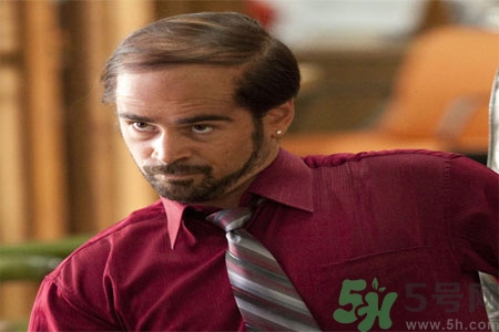 吃什么能掉头发,头发掉了吃什么