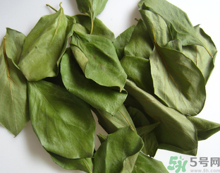 柿子叶茶的制作方法,柿叶茶的制作方法