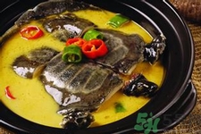 甲鱼的正确杀法,如何挑选甲鱼