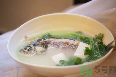 秋季鱼汤怎么做好喝又营养,冬季喝什么鱼汤好