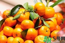 柑橘和桔子有什么区别,橘子和桔子的区别是什么