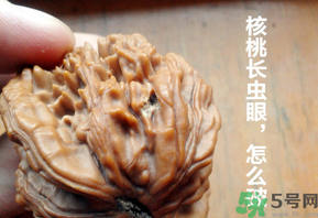 核桃长虫了还能吃吗?,核桃长虫子了还能吃吗