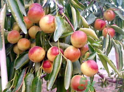 冬枣怎么洗掉农药,冬枣有农药残留吗