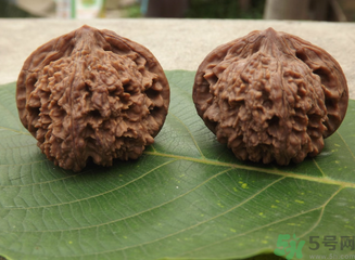 冬虫夏草的功效和作用及食用方法,松花粉的功效和作用及食用方法