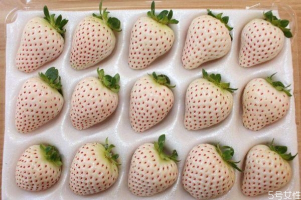 菠萝莓的功效,吃菠萝有哪些好处 菠萝莓的功效,吃菠萝有哪些好处