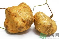 凉薯发芽能吃吗,凉薯发芽能吃吗?有毒吗?