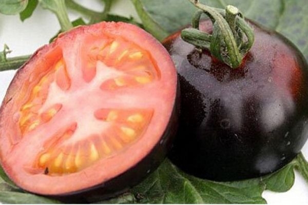黑番茄好吃吗,番茄变黑了可以吃吗