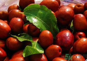 怀孕妇可以吃红枣吗,孕妇整个孕期能吃红枣吗