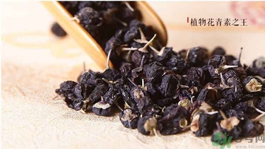 怎样辨别野生黑枸杞的真假,野生黑枸杞图片