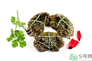 绑好的大闸蟹怎么洗才干净,大闸蟹绑着怎么清洗