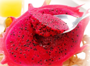 火龙果视频,红宝龙火龙果