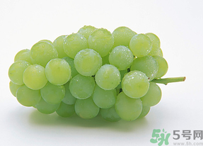 葡萄可以放冰箱吗要保鲜吗,葡萄可以放冰箱吗 葡萄可以放冰箱吗要保鲜吗,葡萄可以放冰箱吗