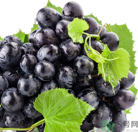 葡萄怎么保存才能保鲜时间长,葡萄储存保鲜方法