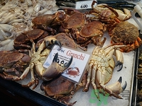 螃蟹苦是怎么回事,螃蟹吃的有点苦是什么原因 螃蟹苦是怎么回事,螃蟹吃的有点苦是什么原因