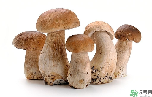 蘑菇多少卡路里,菌菇热量高吗