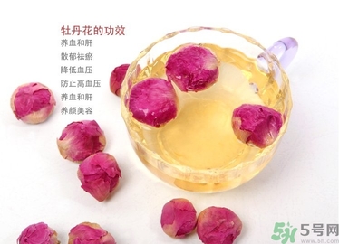 牡丹花能泡水喝吗,牡丹花泡水喝有什么好处