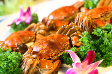 十月吃什么螃蟹最好,十一月份吃什么螃蟹好