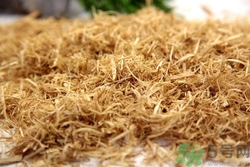 竹茹的功效和作用是什么,竹茹的功效和作用点用