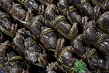 活螃蟹冷冻后还能吃吗?,活螃蟹直接冷冻后还能吃吗