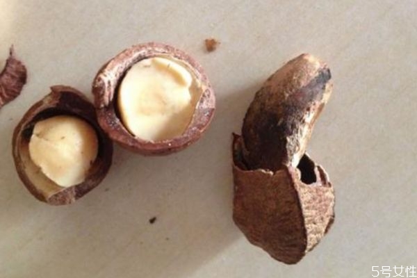 鲍鱼果的热量高吗,鲍鱼热量高嘛