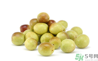 鲜枣可以冷冻保存吗?,鲜枣能冷冻保存吗