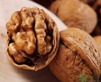 纸皮核桃的简介,纸皮核桃介绍