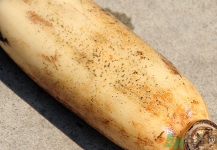 脆莲藕怎么样煮才会粉,莲藕粉怎么煮好吃