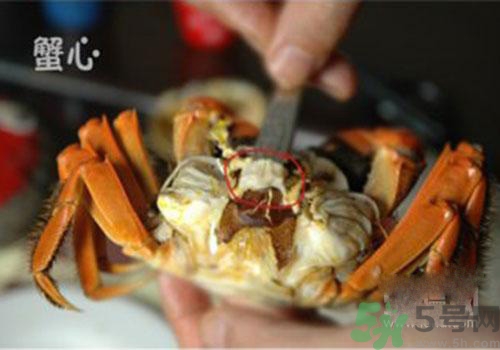 大闸蟹哪些部位不能吃视频,螃蟹的哪些地方可以吃