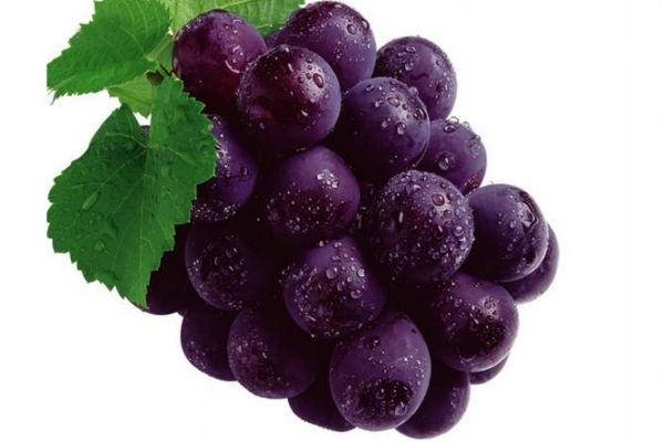 滋润保湿度(滋润保湿度好的BB)