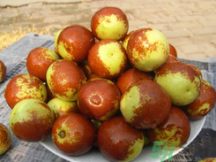 鲜枣吃多了会上火吗?,新鲜枣吃多了会怎样 上火吗 鲜枣吃多了会上火吗?,新鲜枣吃多了会怎样 上火吗